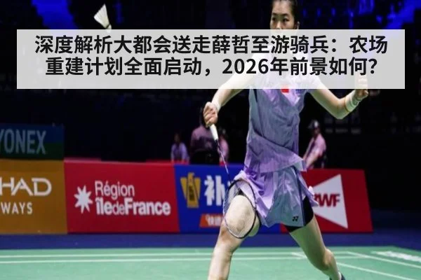 深度解析大都会送走薛哲至游骑兵：农场重建计划全面启动，2026年前景如何？